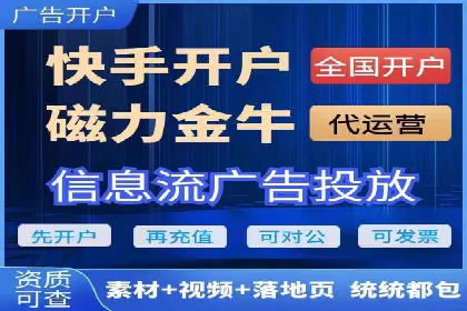 SEM代理服务：提升广告投放效果